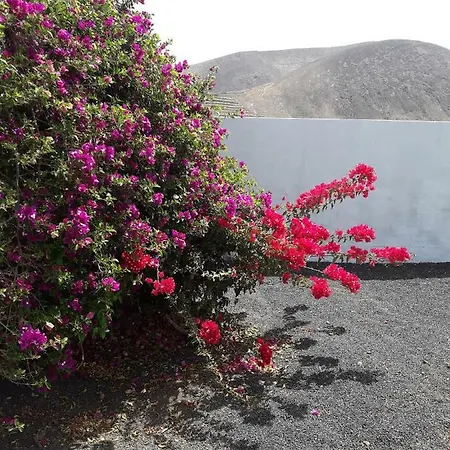 Finca Los Caracoles 乡村民宿 Guatiza